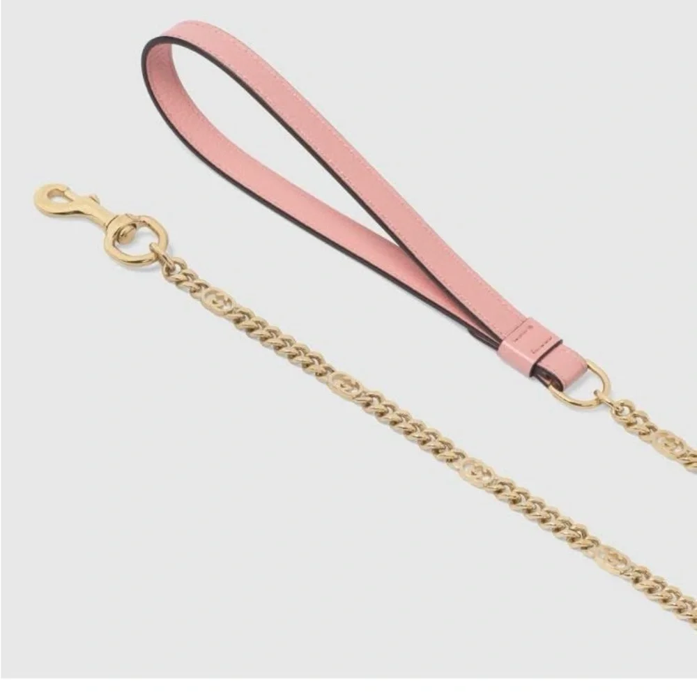 New Gucci dog leash/harness